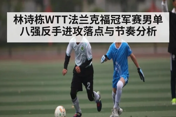 林诗栋WTT法兰克福冠军赛男单八强反手进攻落点与节奏分析
